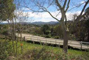 Single Family Residence, 2475 Paseo Monte, Fallbrook, CA 92028 - 4