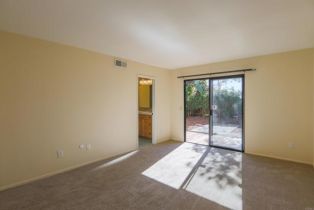 Single Family Residence, 910 Glen Arbor dr, Encinitas, CA 92024 - 14