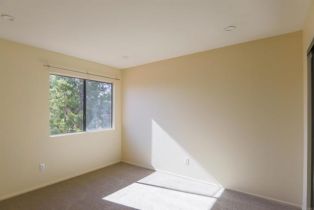 Single Family Residence, 910 Glen Arbor dr, Encinitas, CA 92024 - 20