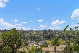 Single Family Residence, 3400 Camino Largo, Carlsbad, CA 92009 - 5