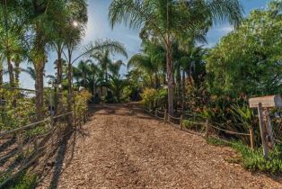 Single Family Residence, 6591 Black Rail rd, Carlsbad, CA 92011 - 37