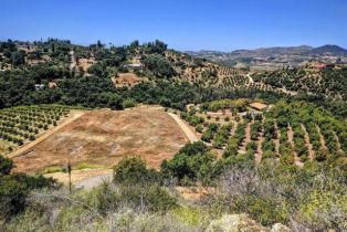 Land, 1313 Rice Canyon Rd, Fallbrook, CA  Fallbrook, CA 92028