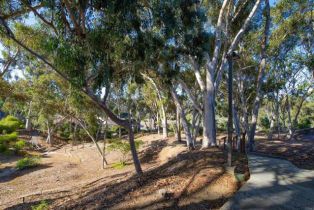 Single Family Residence, 2822 Forest View way, Carlsbad, CA 92008 - 36