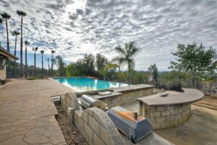 Single Family Residence, 14648 Sturnella way, Valley Center, CA 92082 - 26