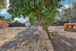 Single Family Residence, 5041  st, Fallbrook, CA 92028 - 36