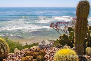 , 1341 Berryman Canyon rd, Encinitas, CA 92024 - 11