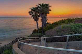 , 1341 Berryman Canyon rd, Encinitas, CA 92024 - 13