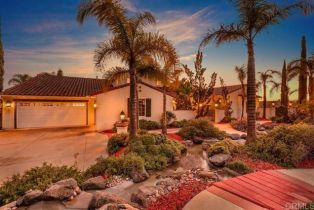 Single Family Residence, 4033 Keri way, Fallbrook, CA 92028 - 59