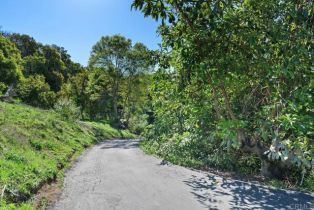 Single Family Residence, 39255 De Luz rd, Fallbrook, CA 92028 - 33