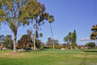 Condominium, 245 Fairlee ln, Encinitas, CA 92024 - 29