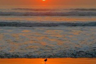 Residential Income, 1801 Coast blvd, Del Mar, CA 92014 - 25