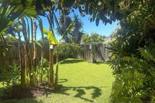 Single Family Residence, 790 Avocado ln, Carlsbad, CA 92008 - 46