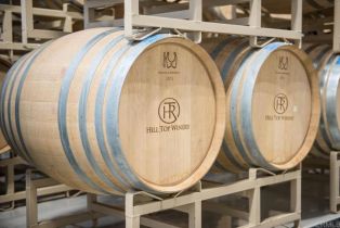 Single Family Residence, 30801 Valley Center Road, Valley Center, CA 92082 - 20