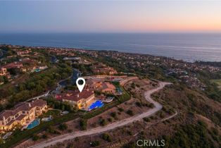 Single Family Residence, 3 Del Mar, Newport Coast, CA 92657 - 66