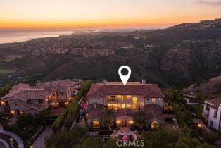 Single Family Residence, 3 Del Mar, Newport Coast, CA 92657 - 67