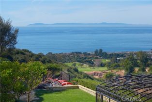 Single Family Residence, 5 Pelican Vista dr, Newport Coast, CA 92657 - 3