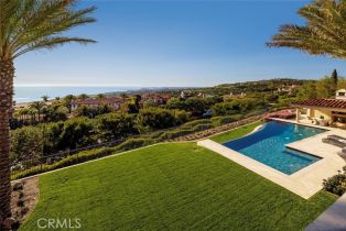 Single Family Residence, 26 Deep Sea, Newport Coast, CA 92657 - 39