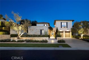 Single Family Residence, 8 Blue Shore, Newport Coast, CA 92657 - 3