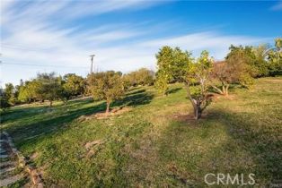 Single Family Residence, 2440 Los Alisos dr, Fallbrook, CA 92028 - 31