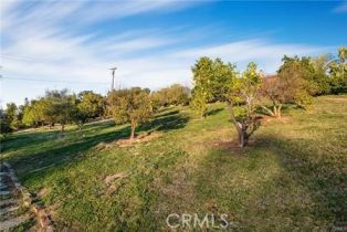 Single Family Residence, 2440 Los Alisos dr, Fallbrook, CA 92028 - 33