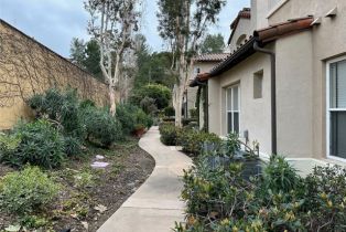 Condominium, 18 Tranto dr, Newport Coast, CA 92657 - 22