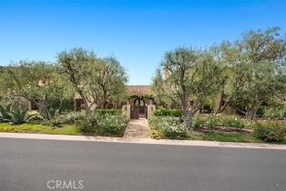 Single Family Residence, 60 Canyon Creek, Irvine, CA 92603 - 53