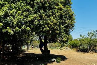 Single Family Residence, 19870 Temescal Canyon rd, Corona, CA 92881 - 8