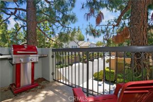 Condominium, 23 Anjou, Newport Coast, CA 92657 - 17