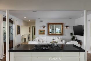 Single Family Residence, 230 High dr, Laguna Beach, CA 92651 - 9