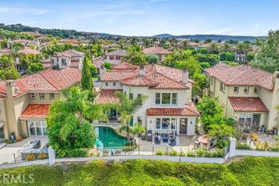 Single Family Residence, 8 Almanzora, Newport Coast, CA 92657 - 4