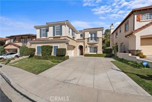 Single Family Residence, 9 AGOSTINO, Newport Coast, CA 92657 - 47