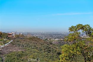 Single Family Residence, 21 Via Palladio, Newport Coast, CA 92657 - 57