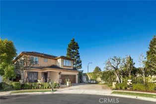 Single Family Residence, 11 Sawgrass dr, Newport Beach, CA 92660 - 33