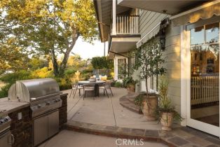 Single Family Residence, 3 Cypress Point ln, Newport Beach, CA 92660 - 40