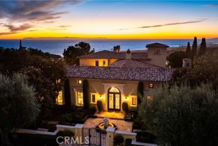 Single Family Residence, 9 Clear Water, Newport Coast, CA 92657 - 3