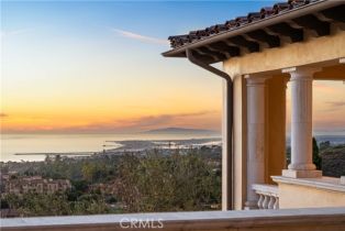 Single Family Residence, 9 Clear Water, Newport Coast, CA 92657 - 52