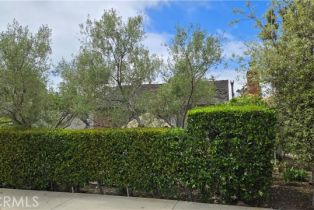 Residential Income, 519 Poppy ave, Corona Del Mar, CA 92625 - 3