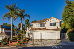 Single Family Residence, 2671 Meridian st, Orange, CA 92867 - 37