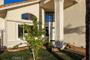 Single Family Residence, 2671 Meridian st, Orange, CA 92867 - 38