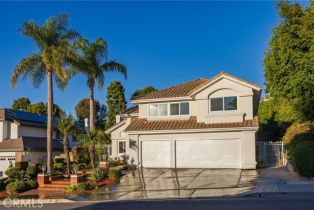 Single Family Residence, 2671 Meridian st, Orange, CA 92867 - 41