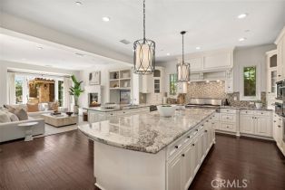 Single Family Residence, 39 Pacific Mist, Newport Coast, CA 92657 - 10