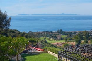 Single Family Residence, 5 Pelican Vista dr, Newport Coast, CA 92657 - 11