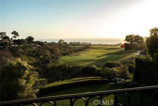 Single Family Residence, 6 Premiere Point, Newport Coast, CA 92657 - 20