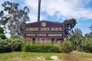 Townhouse, 1529 Doheny way, Dana Point, CA 92629 - 56