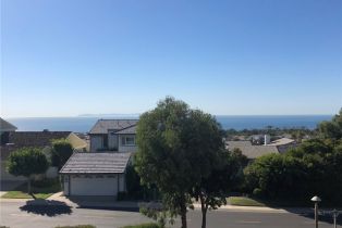 Residential Lease, 33535 Vista Colina, Dana Point, CA  Dana Point, CA 92629