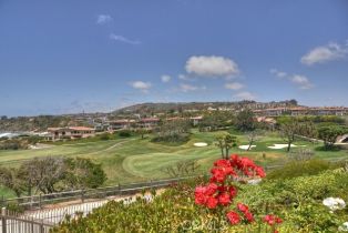 Townhouse, 876 Doheny way, Dana Point, CA 92629 - 65