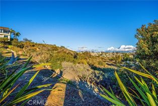 , 0 Crown Valley, Dana Point, CA 92629 - 10