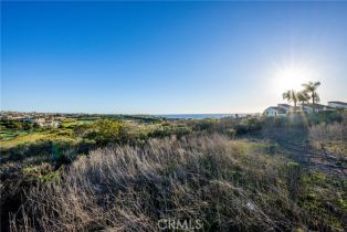 , 0 Crown Valley, Dana Point, CA 92629 - 12