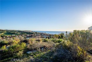 , 0 Crown Valley, Dana Point, CA 92629 - 14