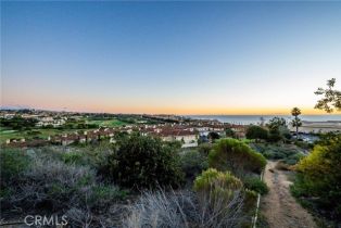 , 0 Crown Valley, Dana Point, CA 92629 - 17